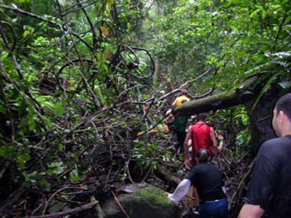 Passeio no Parque Nacional Darien, entre Panamá e Colômbia (foto de Sérgio Ramirez - nuestramontaña.com )